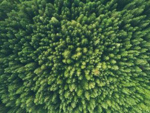 Lire la suite à propos de l’article Société transport routier éco responsable : 5 preuves concrètes d’un engagement durable ♻️