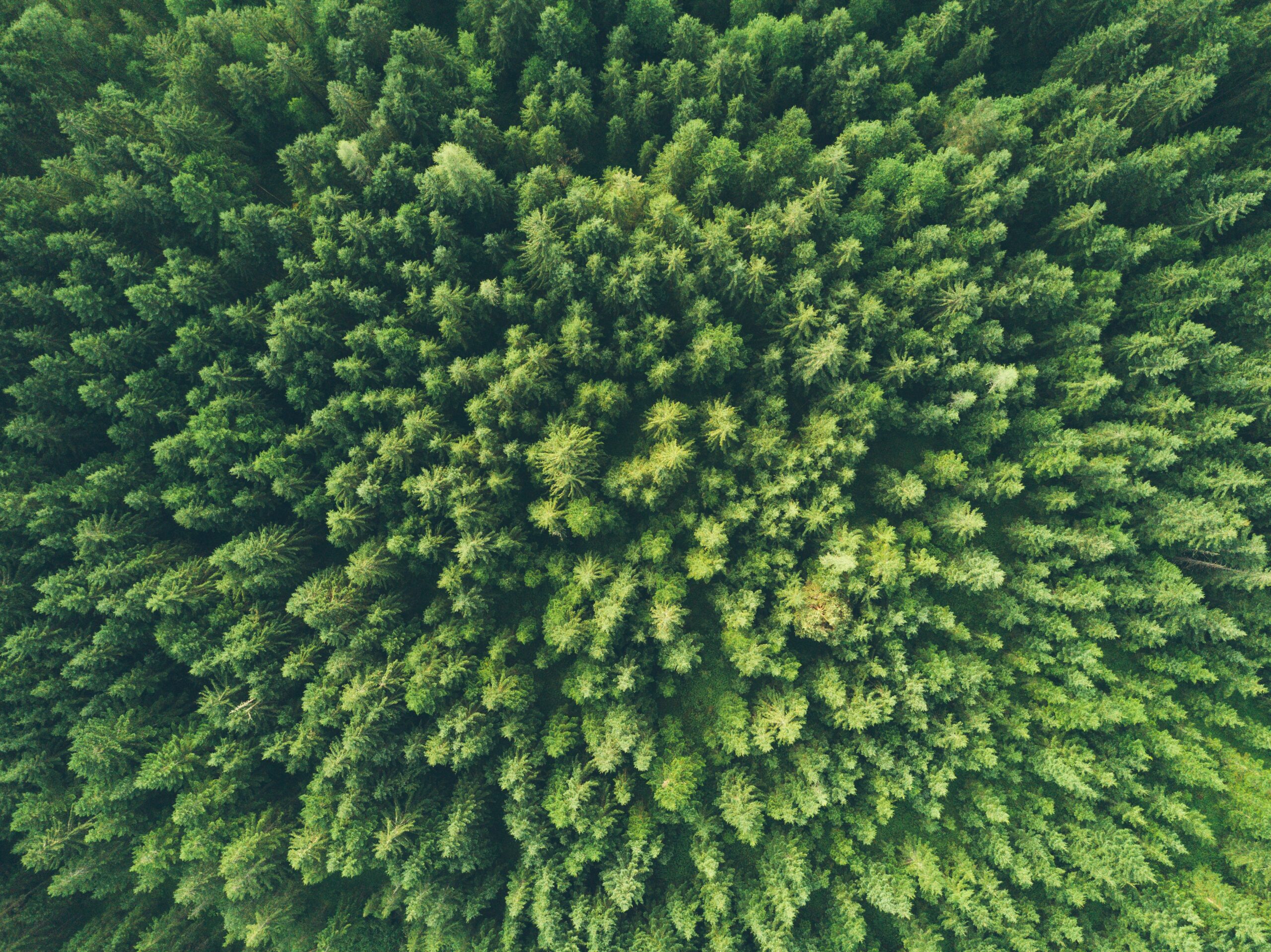 Lire la suite à propos de l’article Société transport routier éco responsable : 5 preuves concrètes d’un engagement durable ♻️